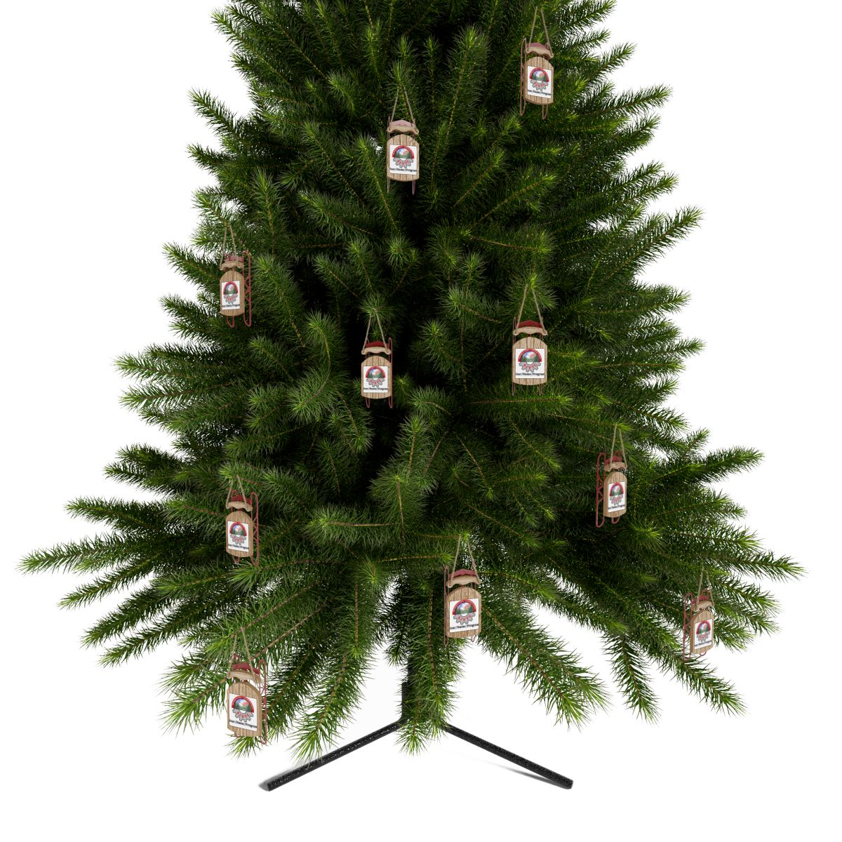 Sled Ornaments - Personalized - SJVTC