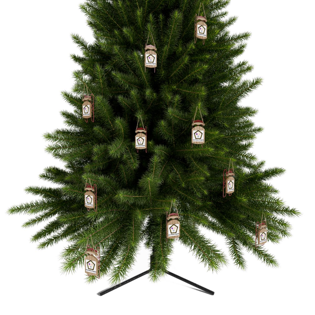 Sled Ornaments - Personalized