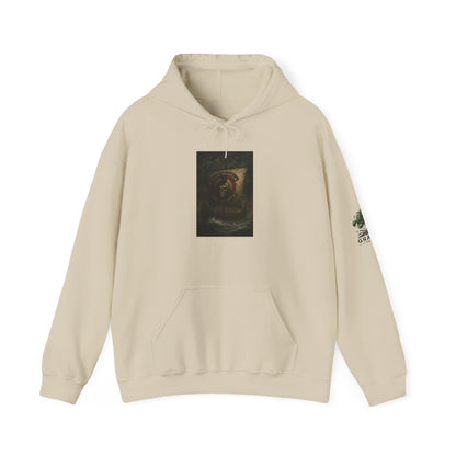 Team Valhalla - Ship