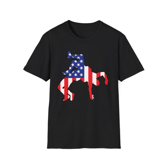 WRESTLING - USA - AMERICA